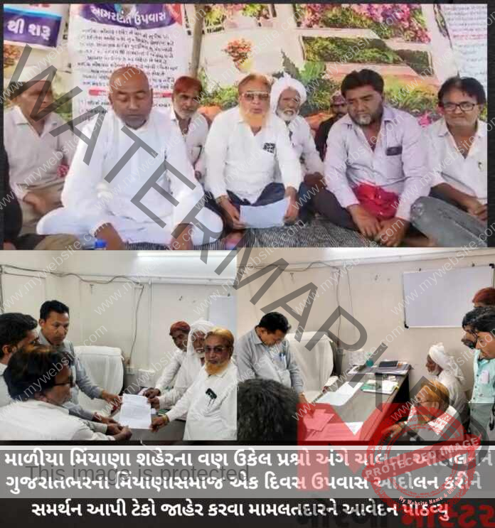 morbi master JPG_20250225171505856_20250225172520759